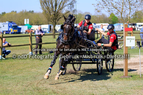 Horse Driving Kronenberg CAI3* Horse Single 20-04-19