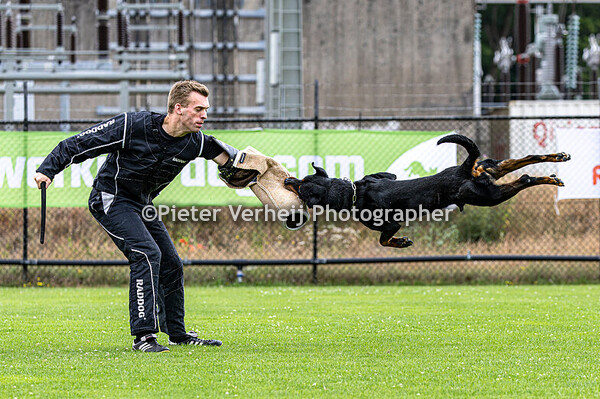 Joep Selders met Quibus von der Tripelallianz
