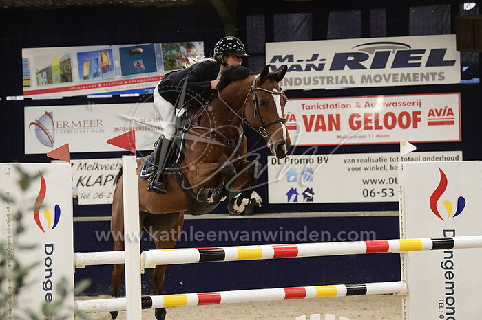 Thalessa de Jong - Majestic