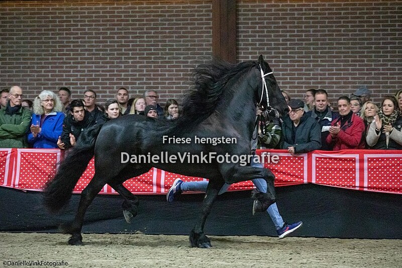 Hengstenshow Lunteren 25-02-2023 Tiede 501