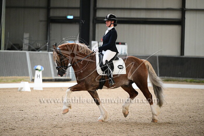 Annet Borgstijn - Picasso