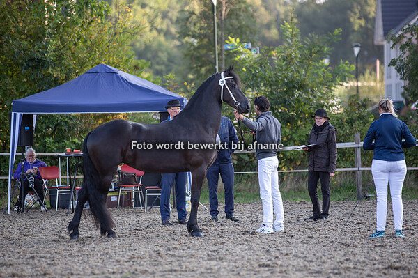 33. Fryske 'nfan 'e lytse generael