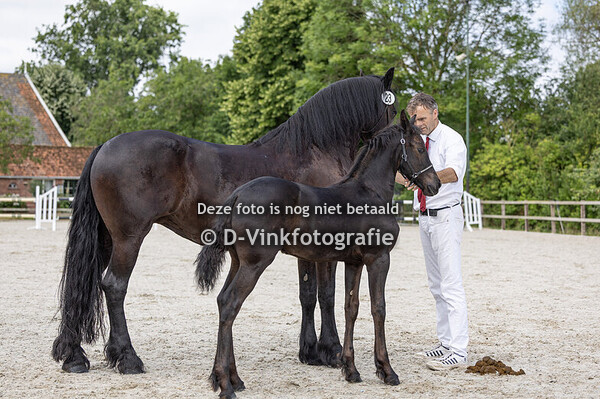 23. Framke franneke p