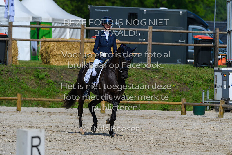 1 Jonge Paarden Dressuur 4 Jarige