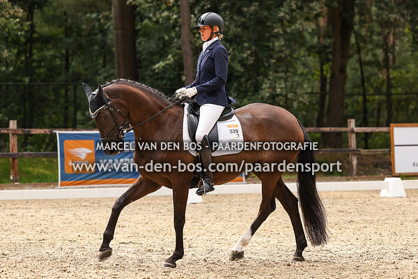 20230721-Ring-4-107-paard-Z2-2eproef-muziek