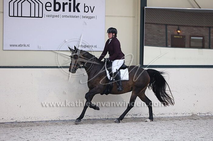 Nieske Voordouw - Identique AB