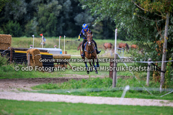 sgw geestmerambacht paarden z 06-09-25