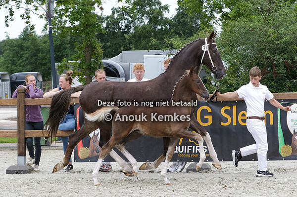 031 - UWE HOOGHEID LXXXIII OLYMPUS HS X ATLEET K. BUIST, NUIS