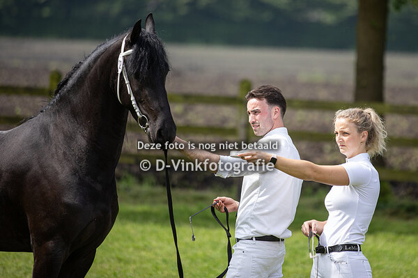 Rubriek 6c 3 jarige veulenboekmerries