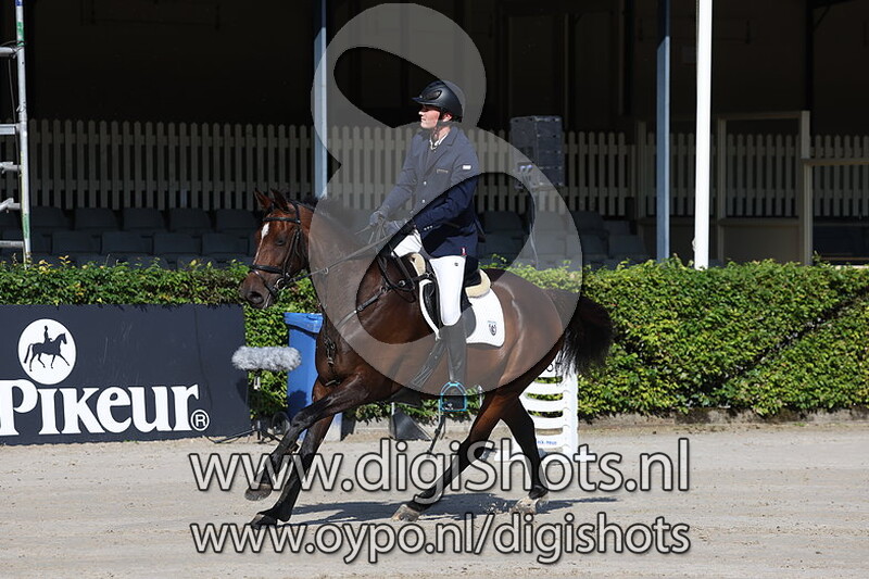 Springen Paarden 1.10m