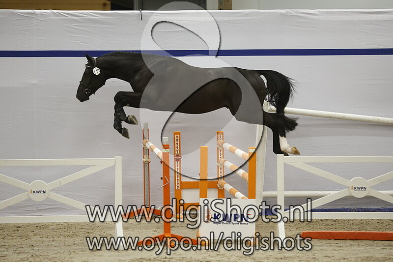 The One Z v. Taran de la Pomme