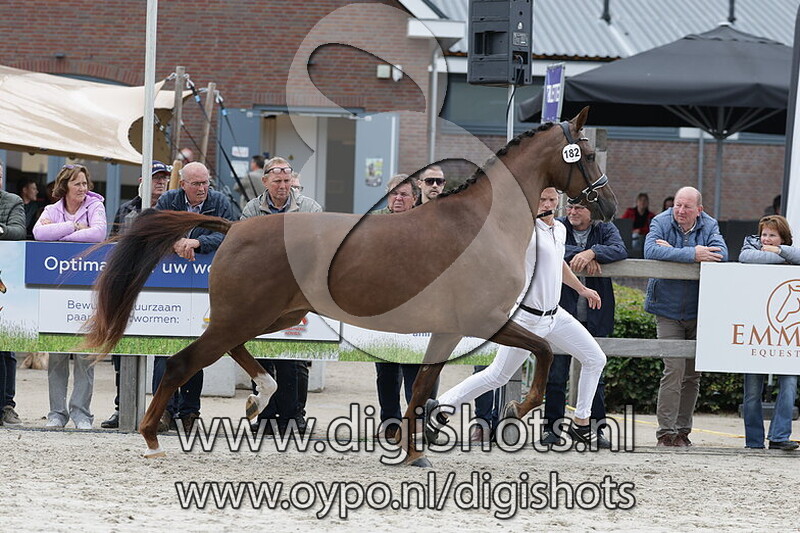 Savanne Fan T v. Lennox