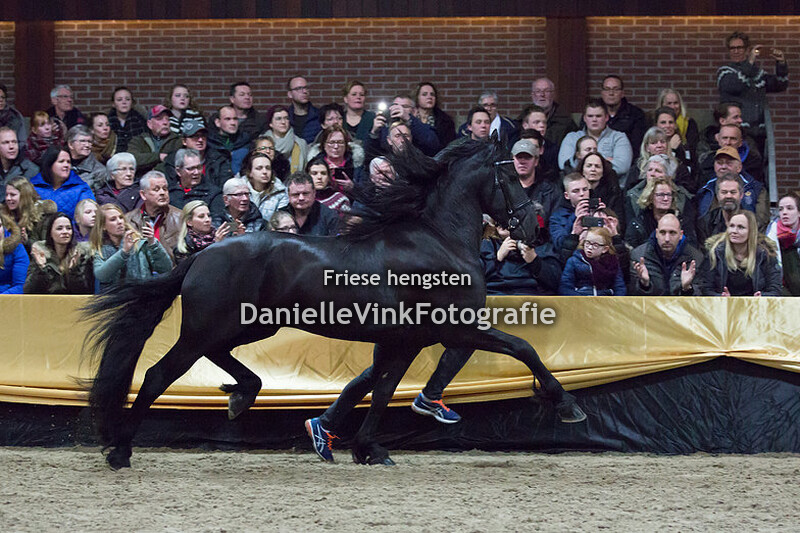 Hengstenshow Lunteren 24-02-2018 - Tjebbe 500