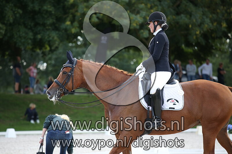 ZZ Licht paarden dressuur Ring 3