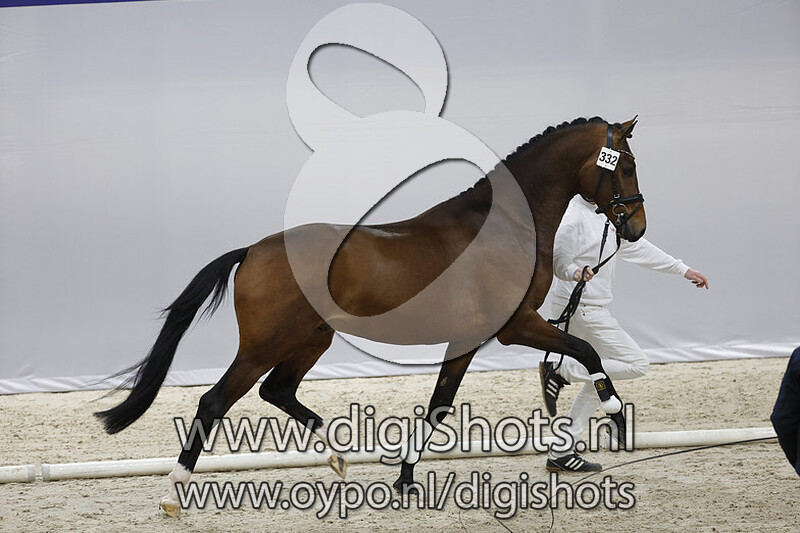 Onze Ferrari v. Desperado