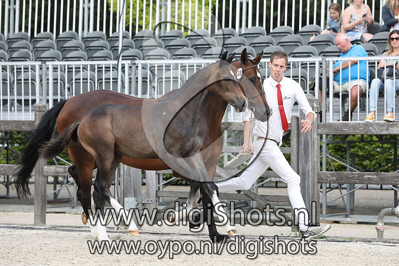 028 Rometa v. Kannan JR