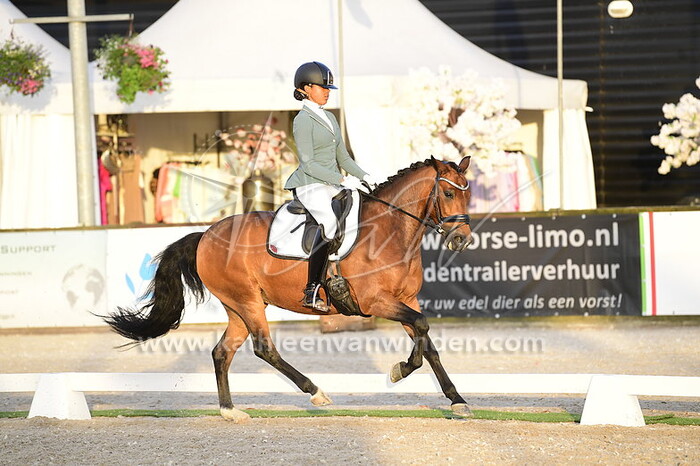 Shailey Gaari - Nieland's Femke