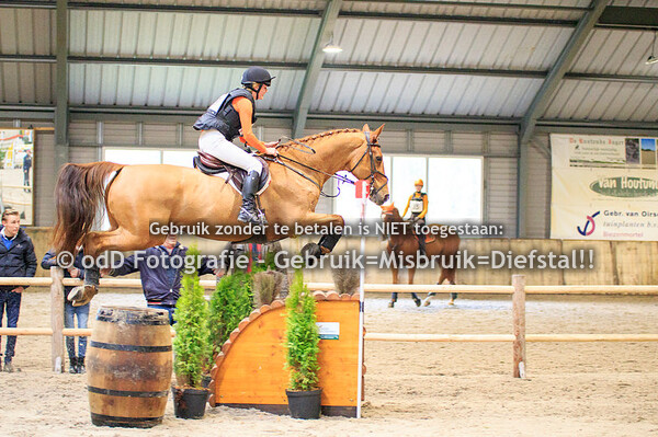 Indoor Brabant Horse Trials Udenhout Z 07-12-19
