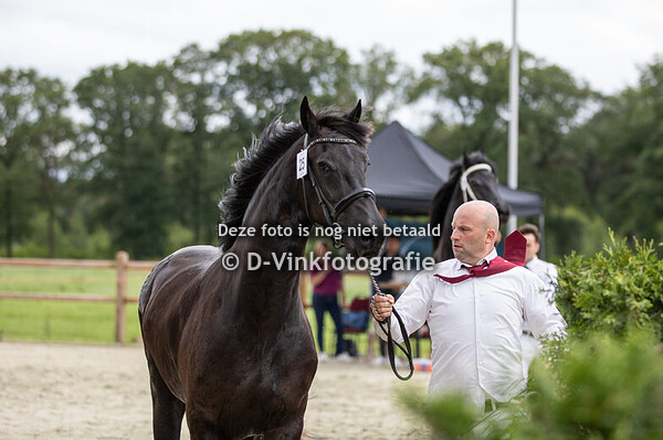 25. Sientje van de Meerbos