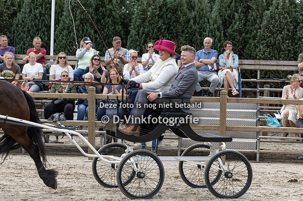 Tuigpaarden damesklasse