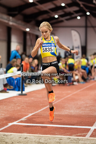 20221113 [ACW] VOLH indoor pup-min 1 - Beveren