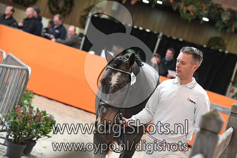 Cornet de Regor DM Z v. Cornet Obolensky