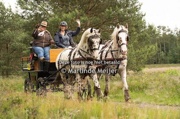 Epe Paarden4daagse 2024 