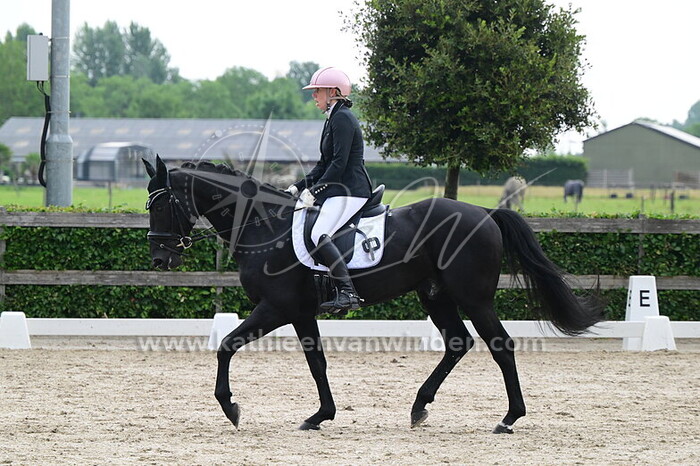 Femke Meeuwsen - Playability