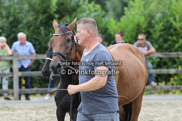 29. Tess vom Schladitzer See