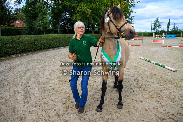 SHOW GEKEURDE HENGSTEN CPB / SHOW ETALONS CPB								