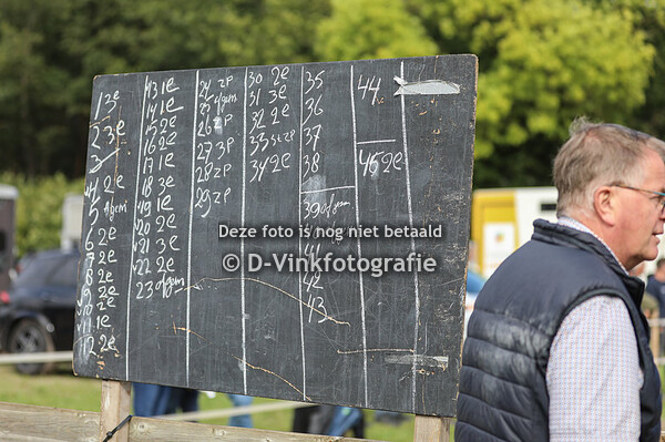 Nakeuring Boxtel friese paarden