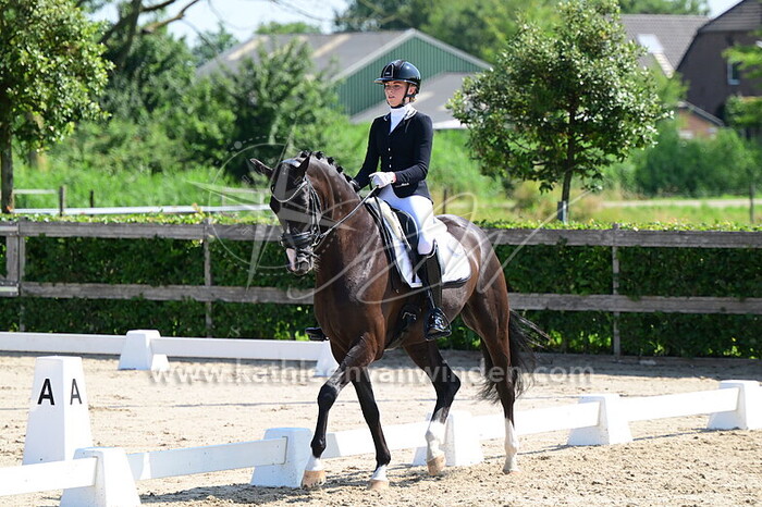 Dominique van Dalsen - Perfect M