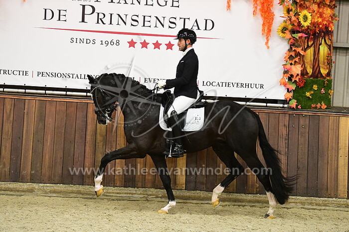 John Tijssen - Piccobello