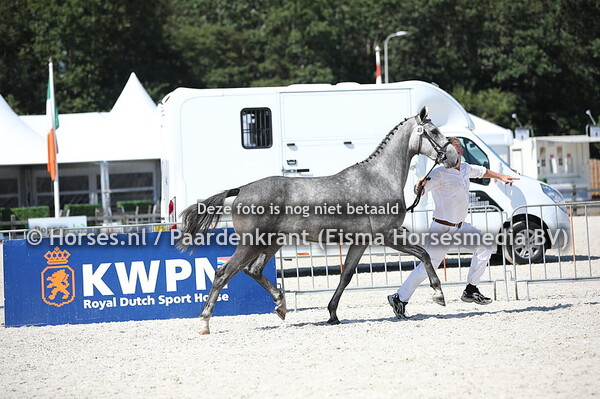 49 Laira G (Dakar VDL x Vaira v. Hors la Loi II) (1)