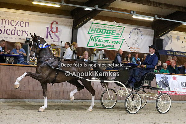 TP Nieuwelingen hengsten/ruinen groep 1