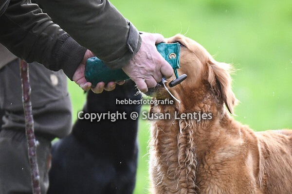 OWT Sandenburg 16 maart 2024 Starters Novice