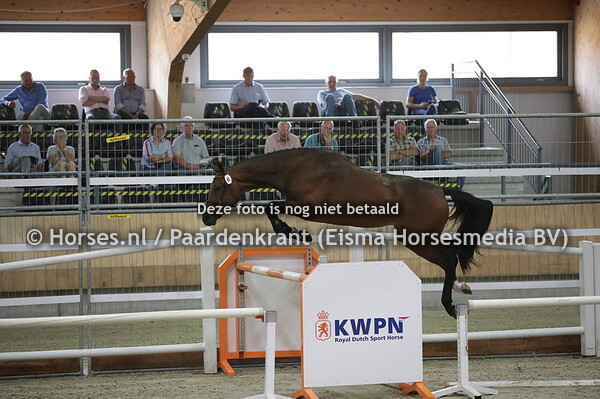 6 Marline (Connect x Eline v.  Arezzo)