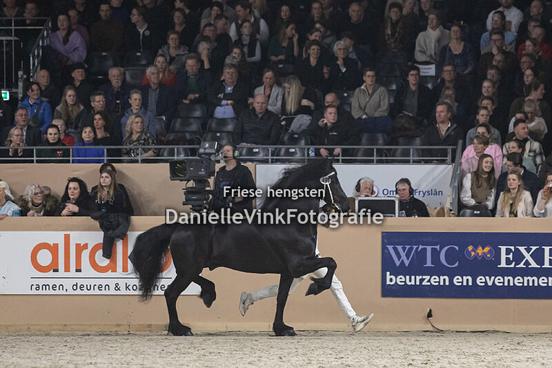 Hengstenkeuring 2023 Markus 491