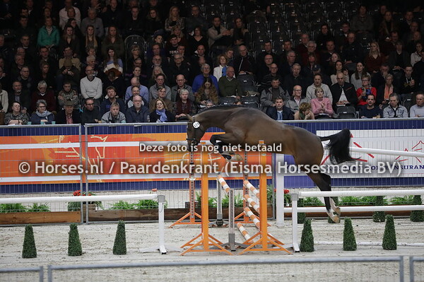 124 Max (Grand Slam VDL x Ovidius x Luidam)