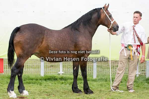 Championships Section A