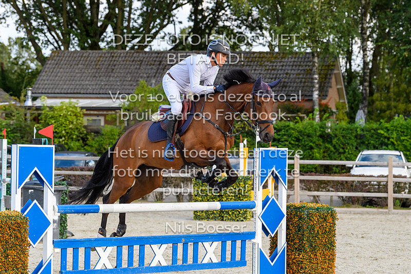 7 Paarden Klasse 110cm