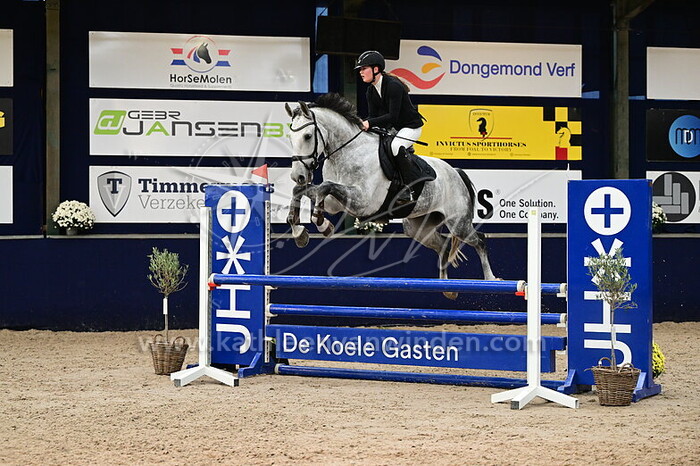 Cindy Dekker-Rijk - Luctor et Emergo