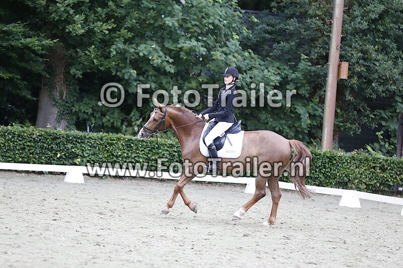 Niet leesbaar dekje Looleeruiters