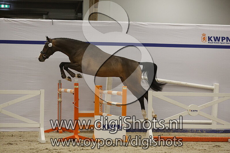 Sky High v. Donthargos