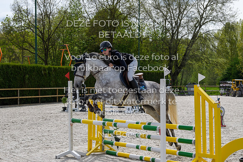 5 Paarden Klasse 80-90cm