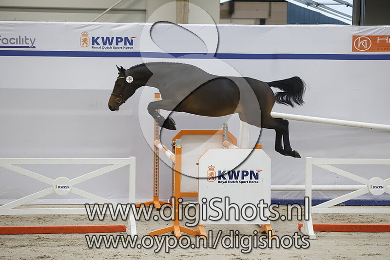 Reaction W Van 't Studutch v. Chacco Blue - 030