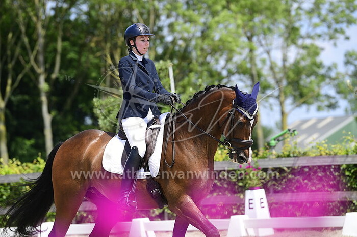 Sarah Hasselman - Gambit