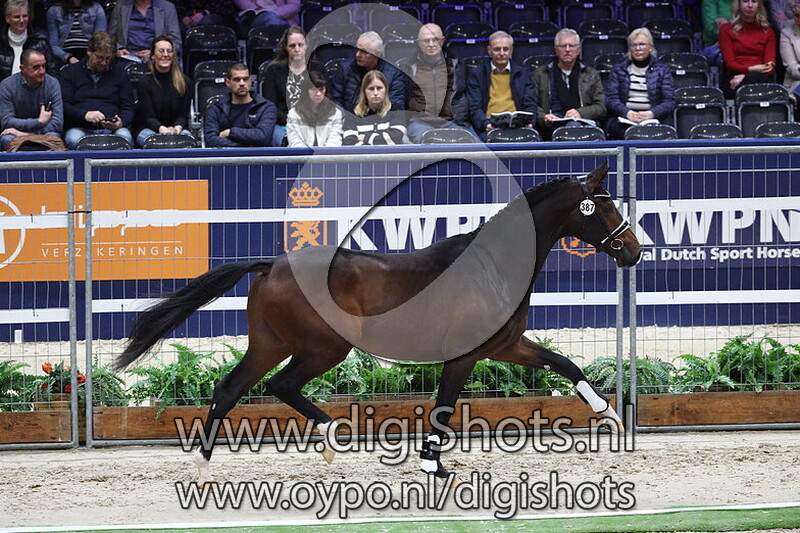 Saquon SSF v. Jovian