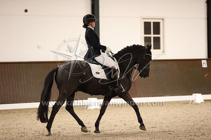 Roos van Wijk - Hattrick Phill