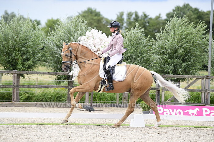 Kirsten Hoogerwerf - Orin